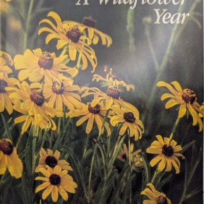 A Wildflower Year